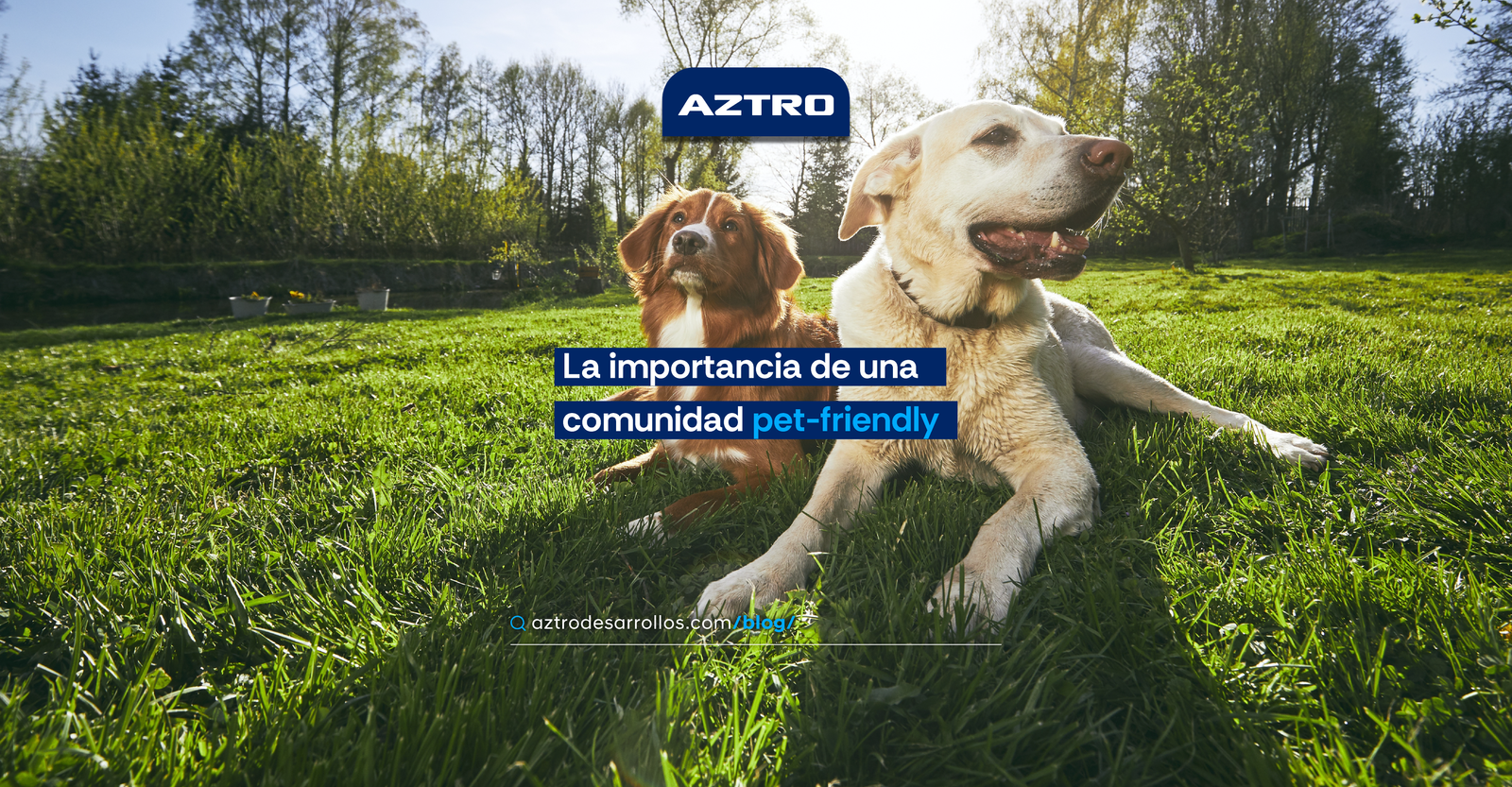 La Importancia de una Comunidad Pet Friendly: Un Refugio para Todos